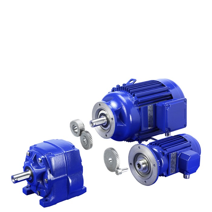 gear motor